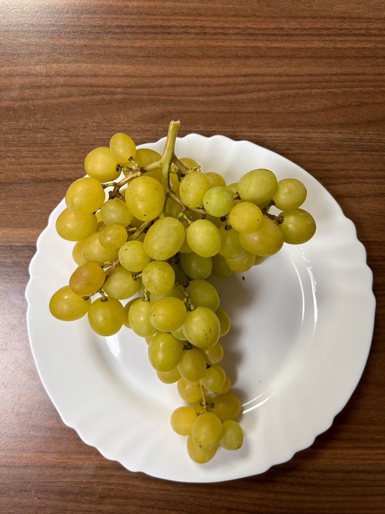 Dzina grape variety